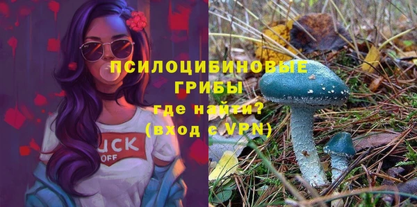 мескалин Алексеевка