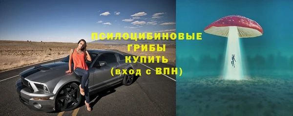 бошки Алзамай