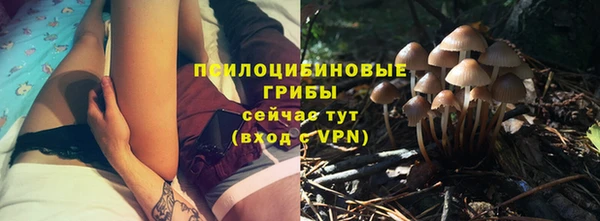 ГАЛЛЮЦИНОГЕННЫЕ ГРИБЫ Алексин