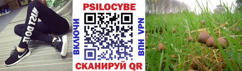 Галлюциногенные грибы Magic Shrooms купить наркоту Кукмор